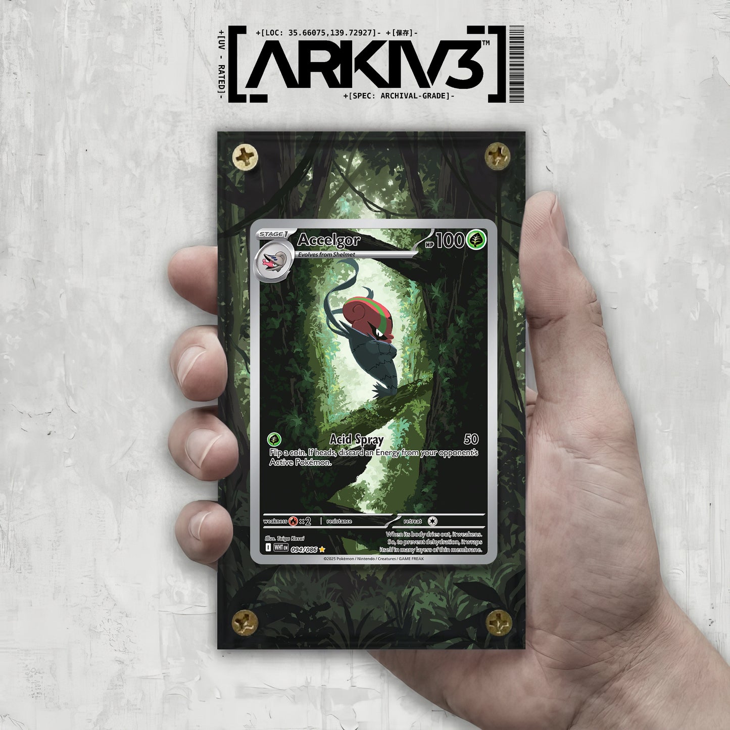 [UNIT: 94/86] // Accelgor Extended Art Display Case - Raw