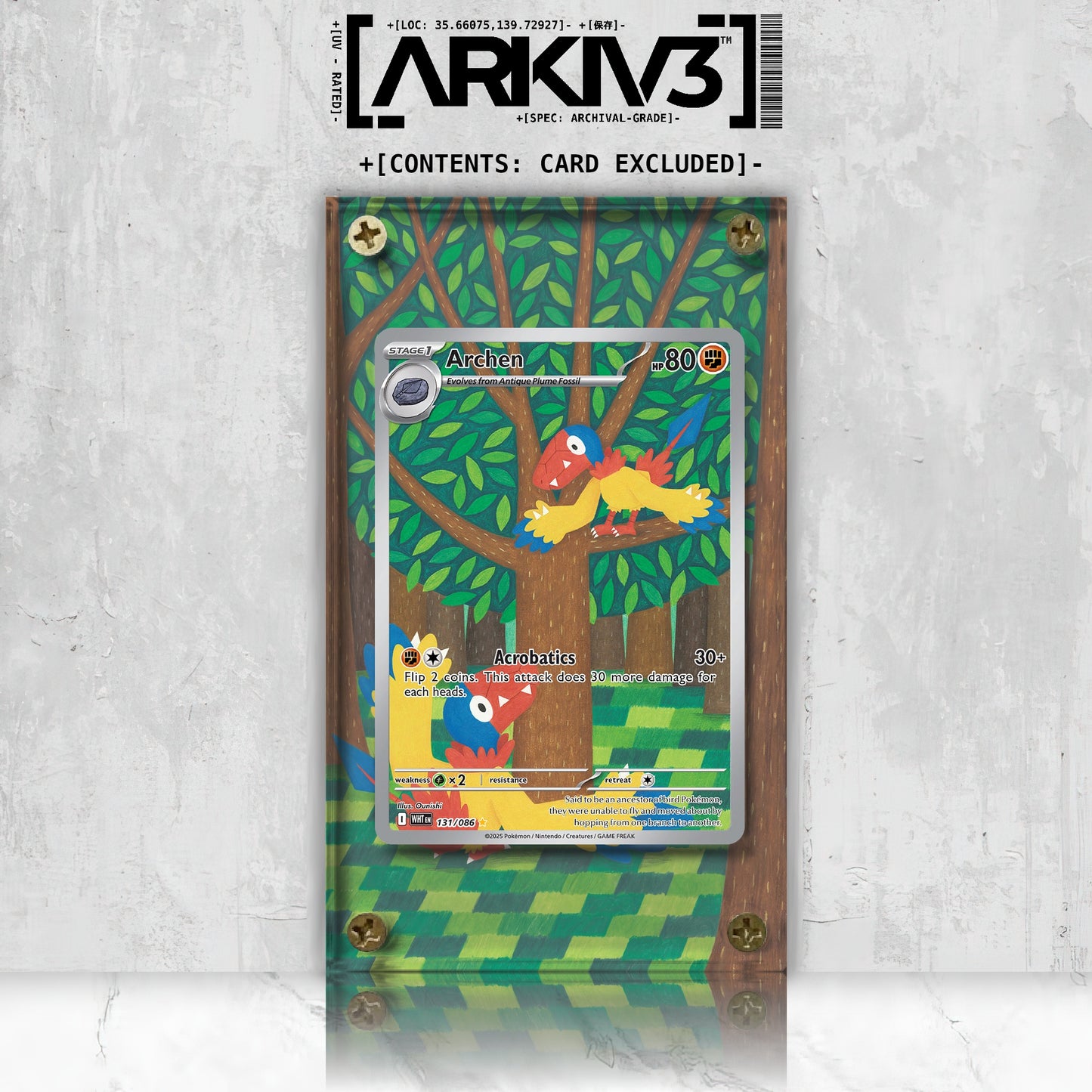 [UNIT: 131/86] // Archen Extended Art Display Case - Raw