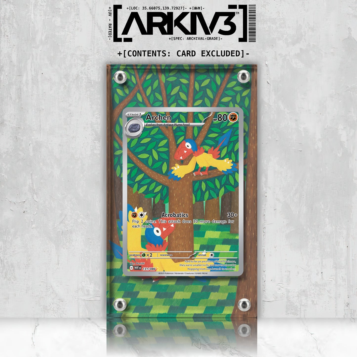 [UNIT: 131/86] // Archen Extended Art Display Case - Raw