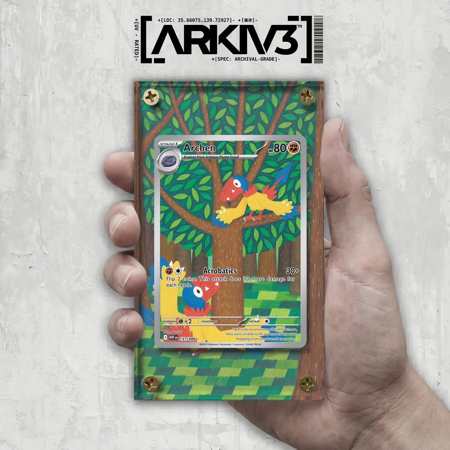 [UNIT: 131/86] // Archen Extended Art Display Case - Raw