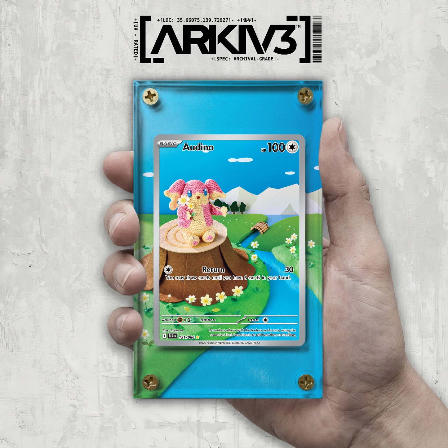 [UNIT: 151/86] // Audino Extended Art Display Case - Raw