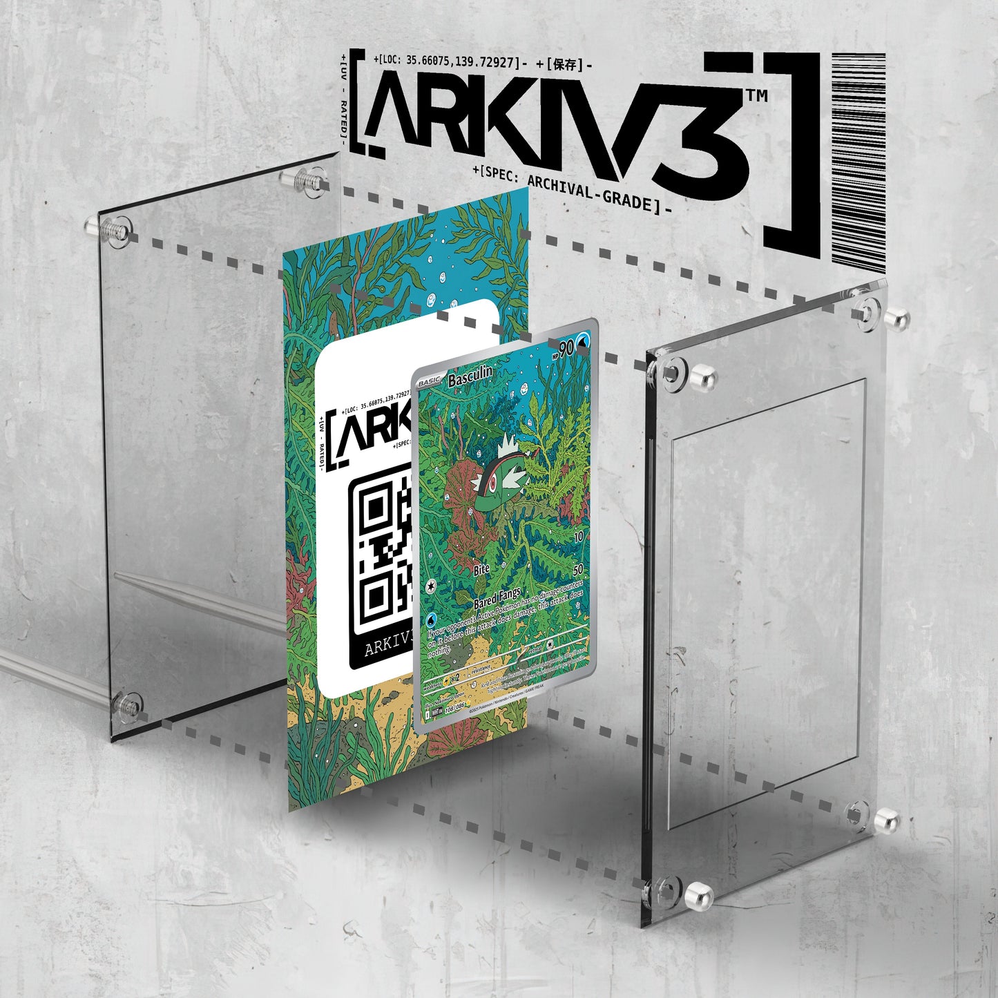[UNIT: 108/86] // Basculin Extended Art Display Case - Raw