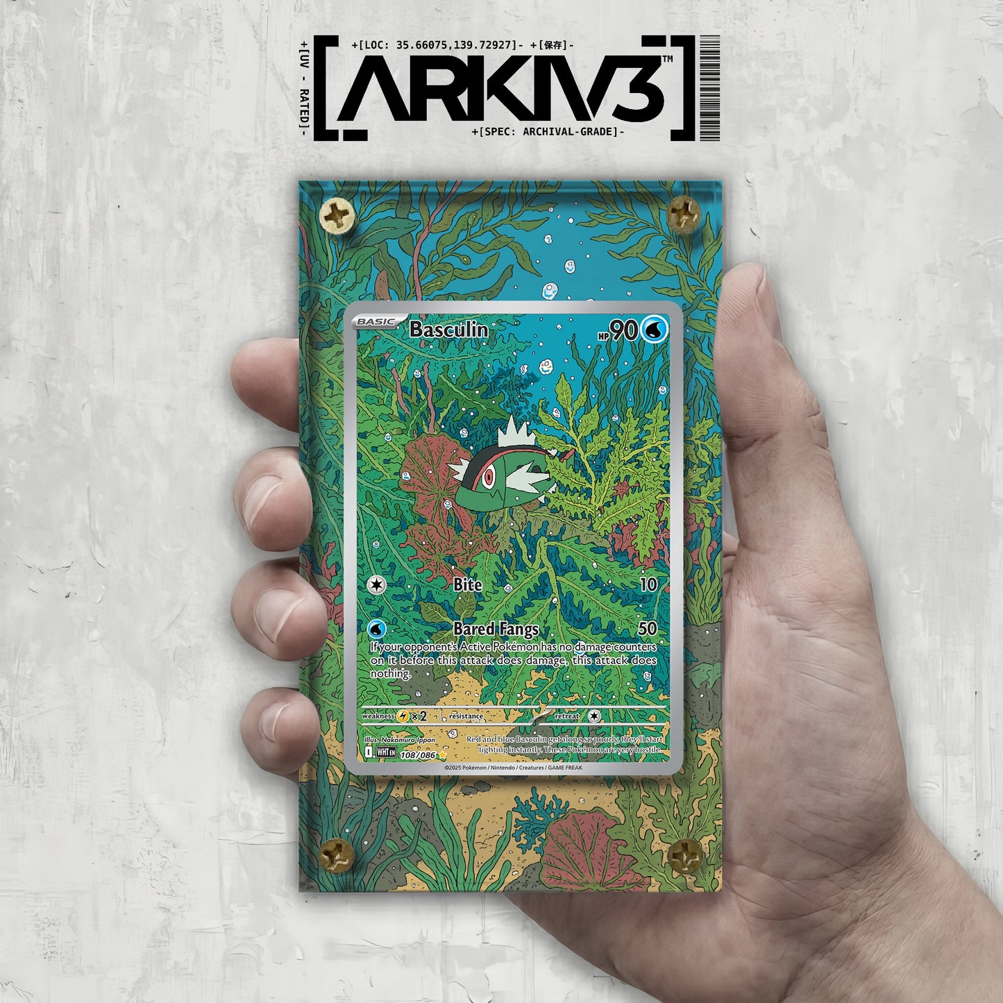[UNIT: 108/86] // Basculin Extended Art Display Case - Raw