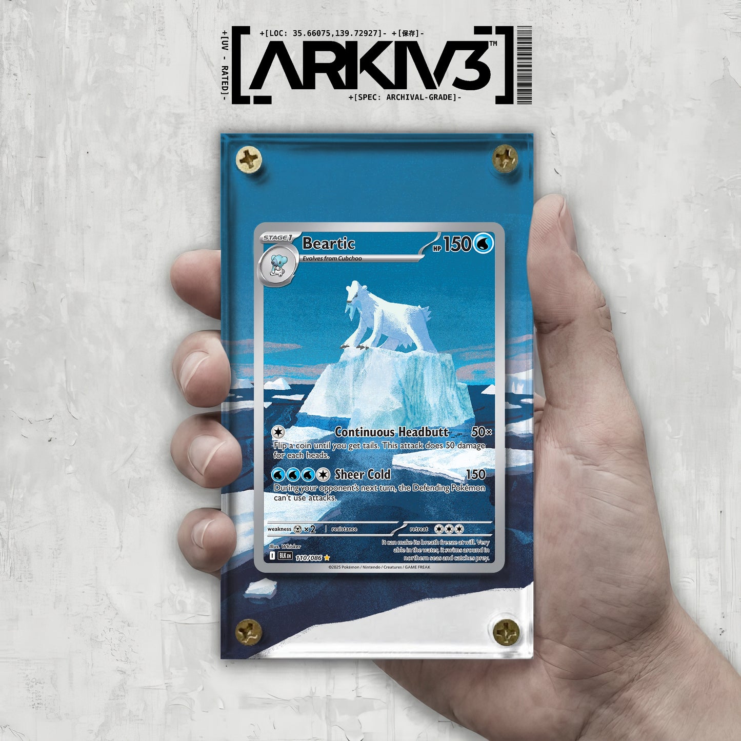 [UNIT: 110/86] // Beartic Extended Art Display Case - Raw