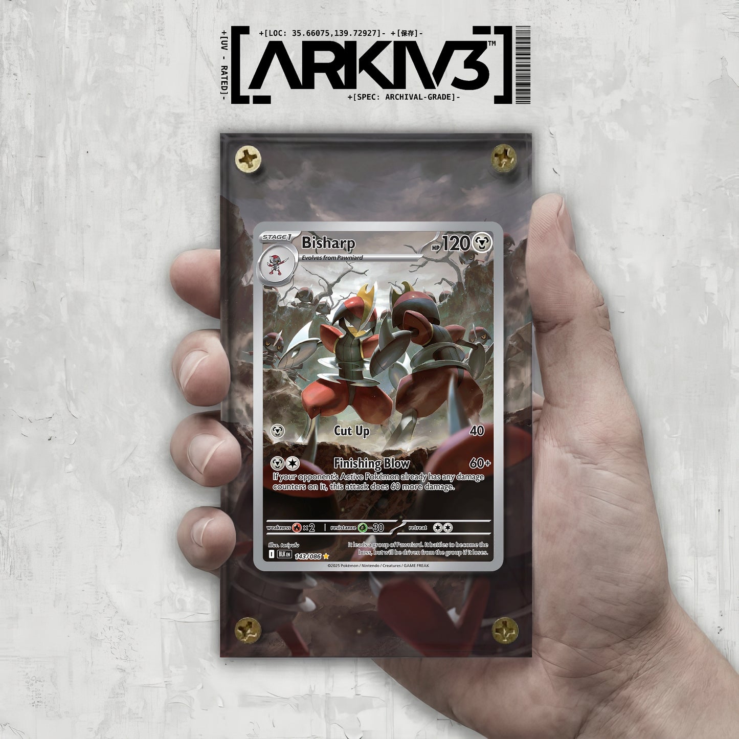 [UNIT: 143/86] // Bisharp Extended Art Display Case - Raw