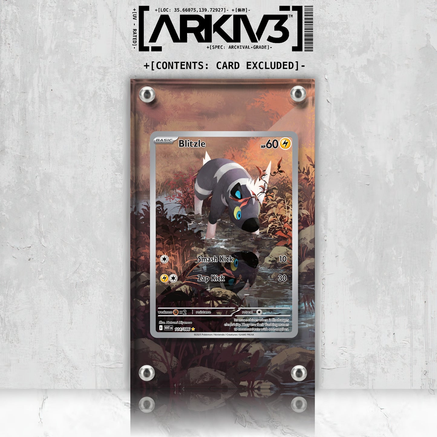 [UNIT: 114/86] // Blitzle Extended Art Display Case - Raw