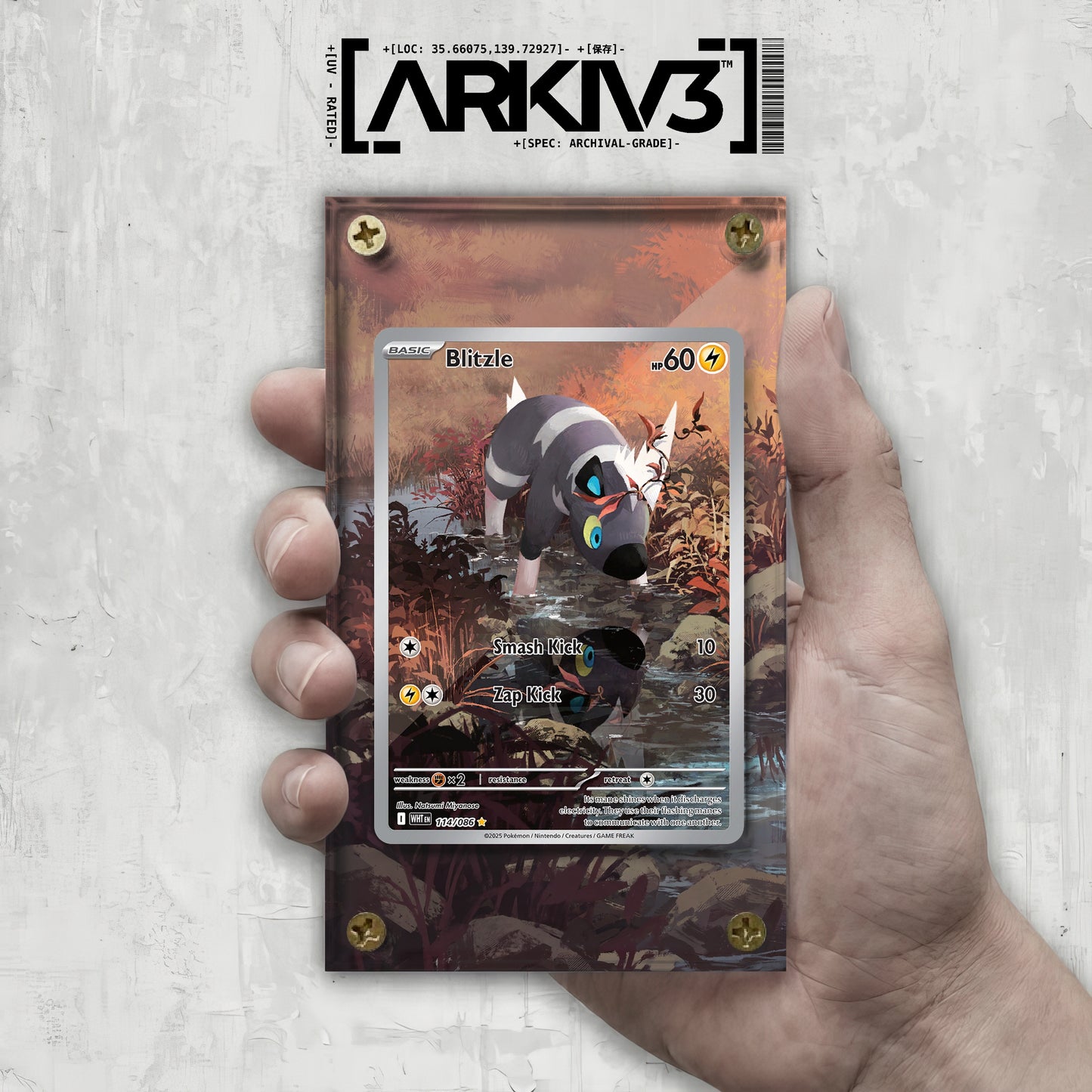 [UNIT: 114/86] // Blitzle Extended Art Display Case - Raw