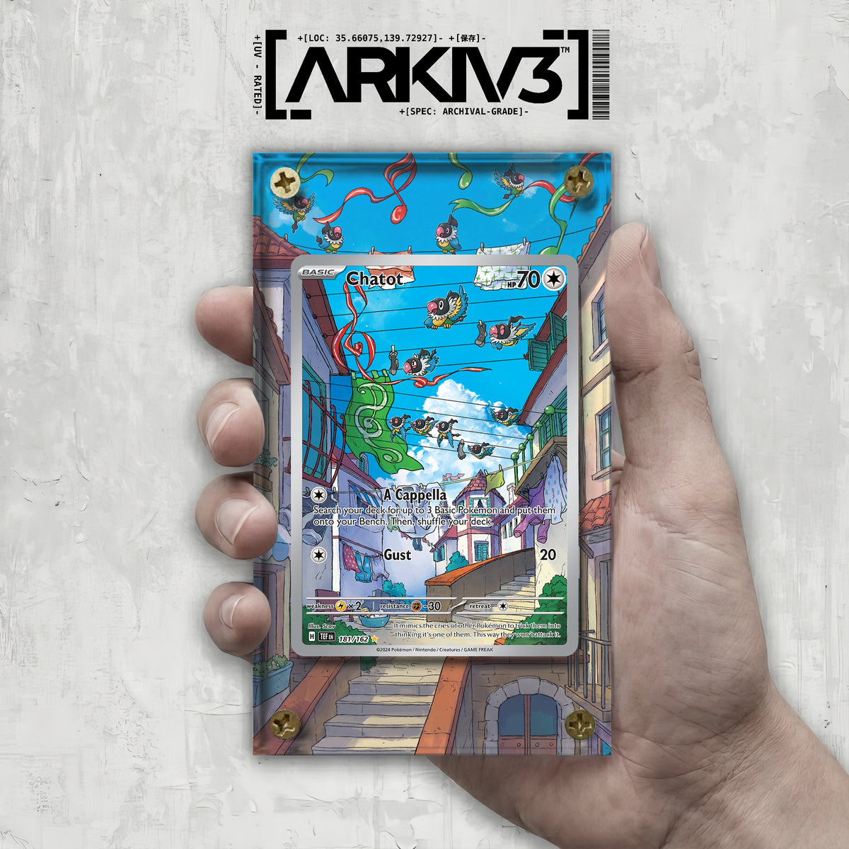 [UNIT: 181/162] // Chatot Extended Art Display Case - Raw