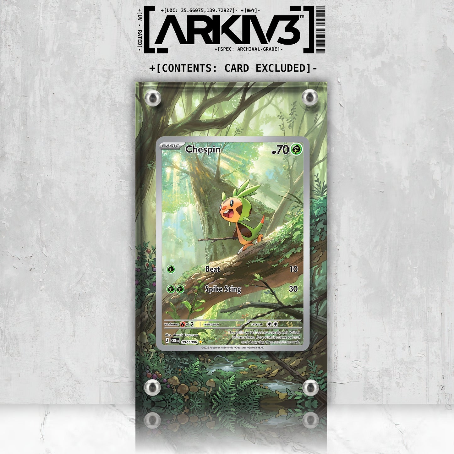 [UNIT: 87/86] // Chespin Extended Art Display Case - Raw