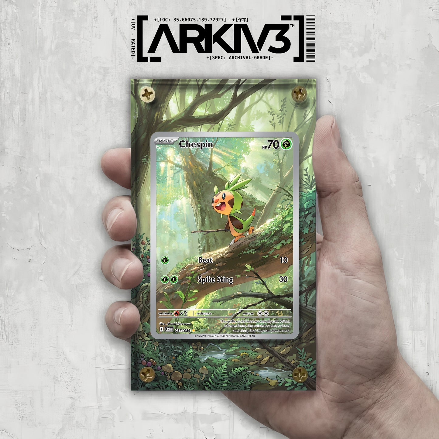 [UNIT: 87/86] // Chespin Extended Art Display Case - Raw