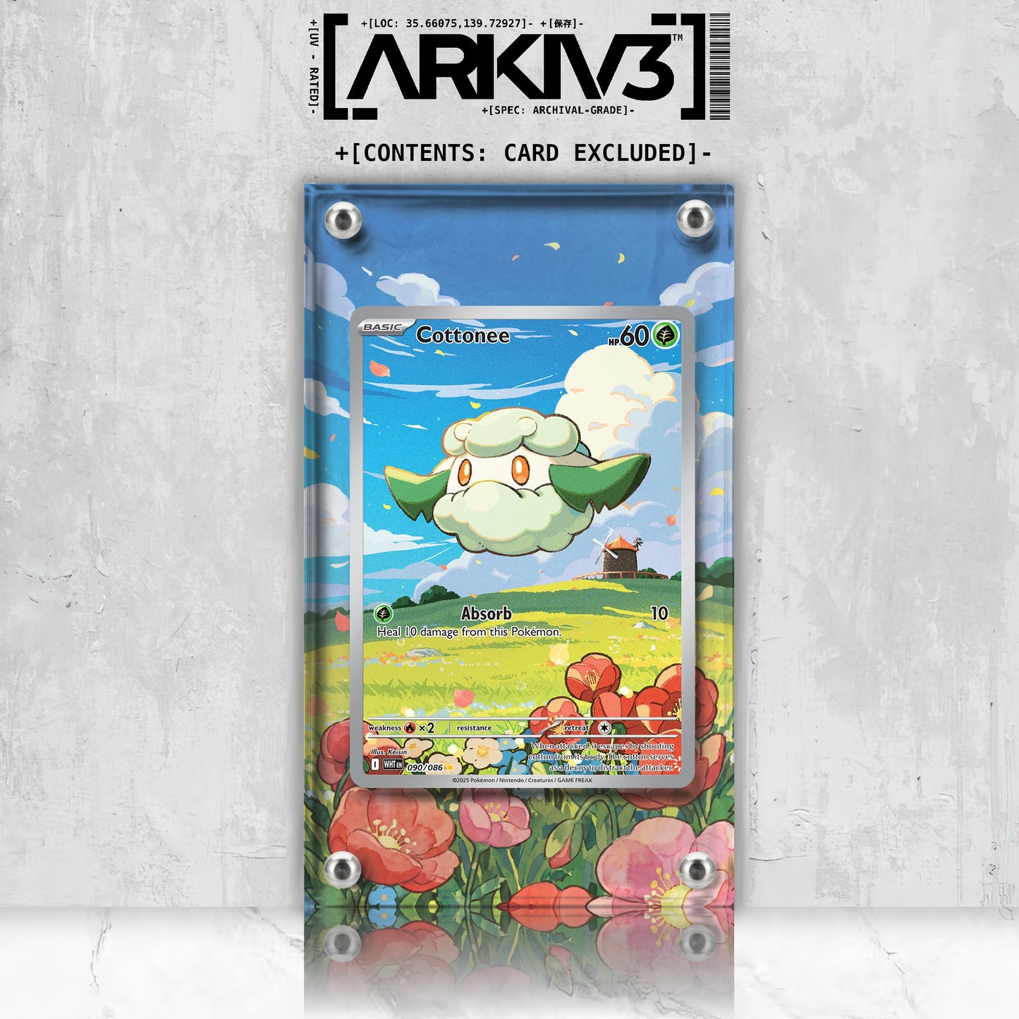 [UNIT: 90/86] // Cottonee Extended Art Display Case - Raw