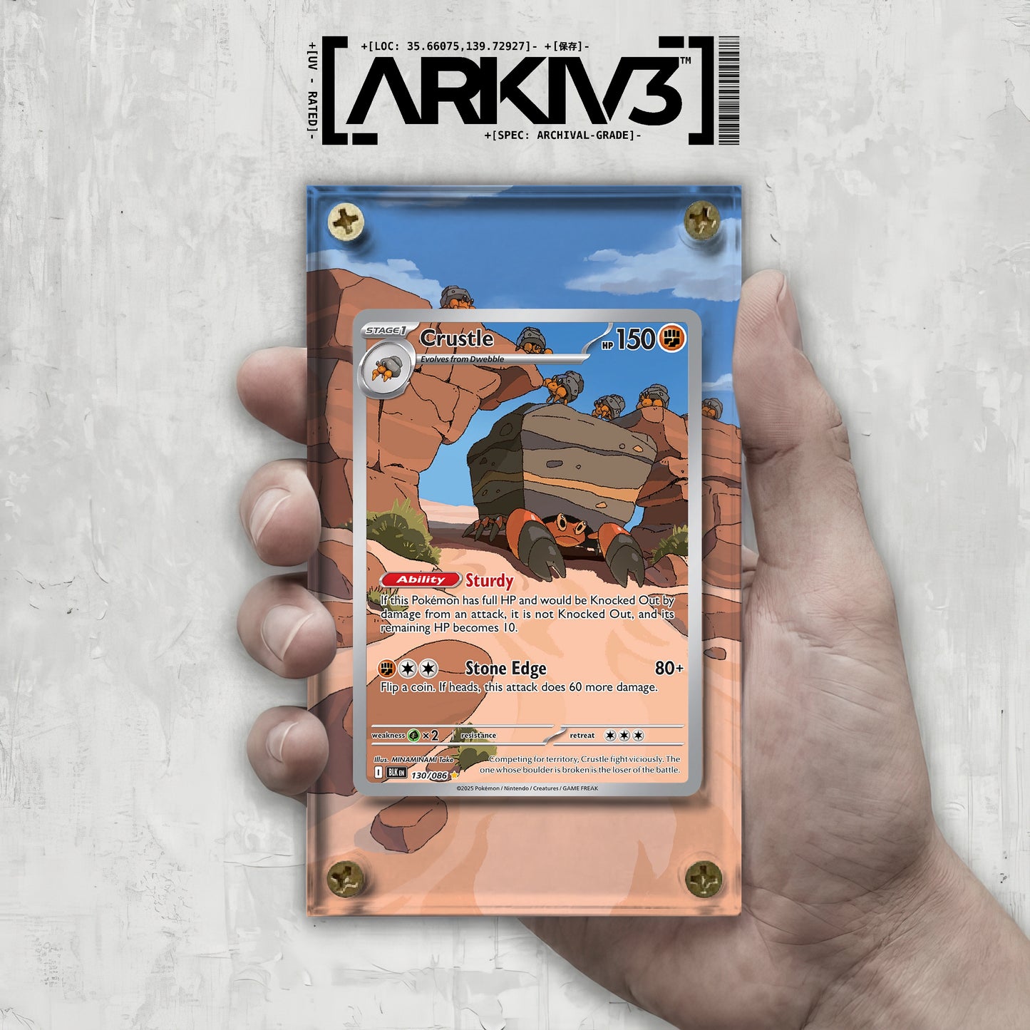 [UNIT: 130/86] // Crustle Extended Art Display Case - Raw
