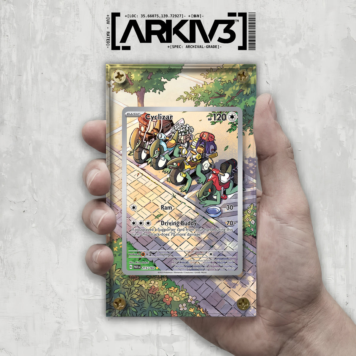 [UNIT: 215/182] // Cyclizar Extended Art Display Case - Raw