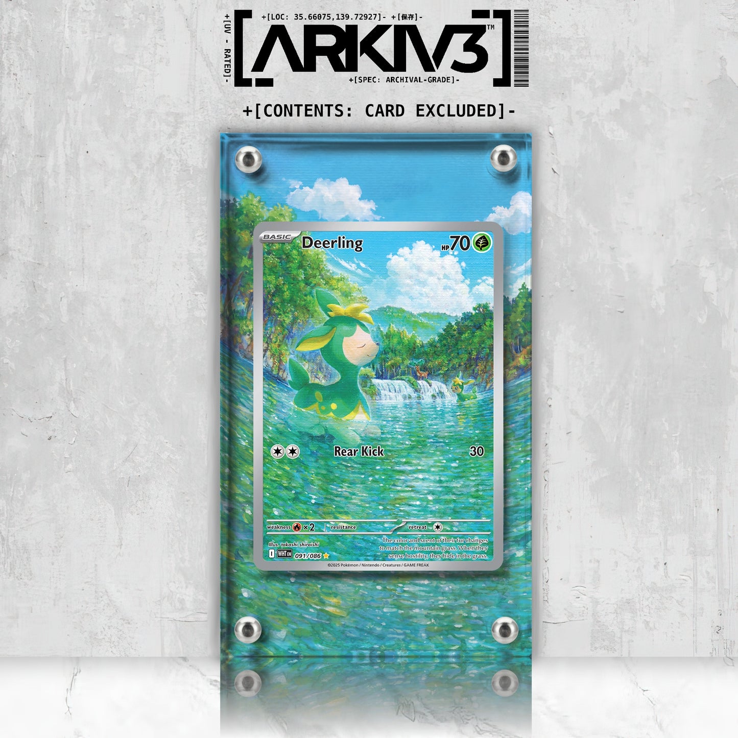 [UNIT: 91/86] // Deerling Extended Art Display Case - Raw