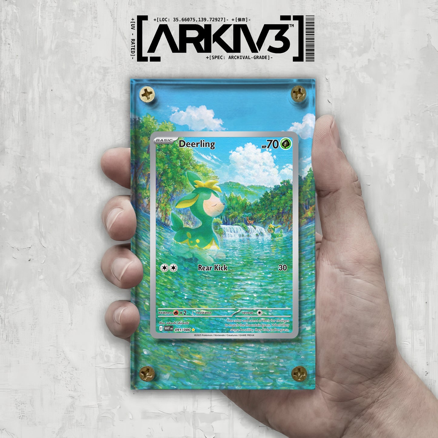 [UNIT: 91/86] // Deerling Extended Art Display Case - Raw