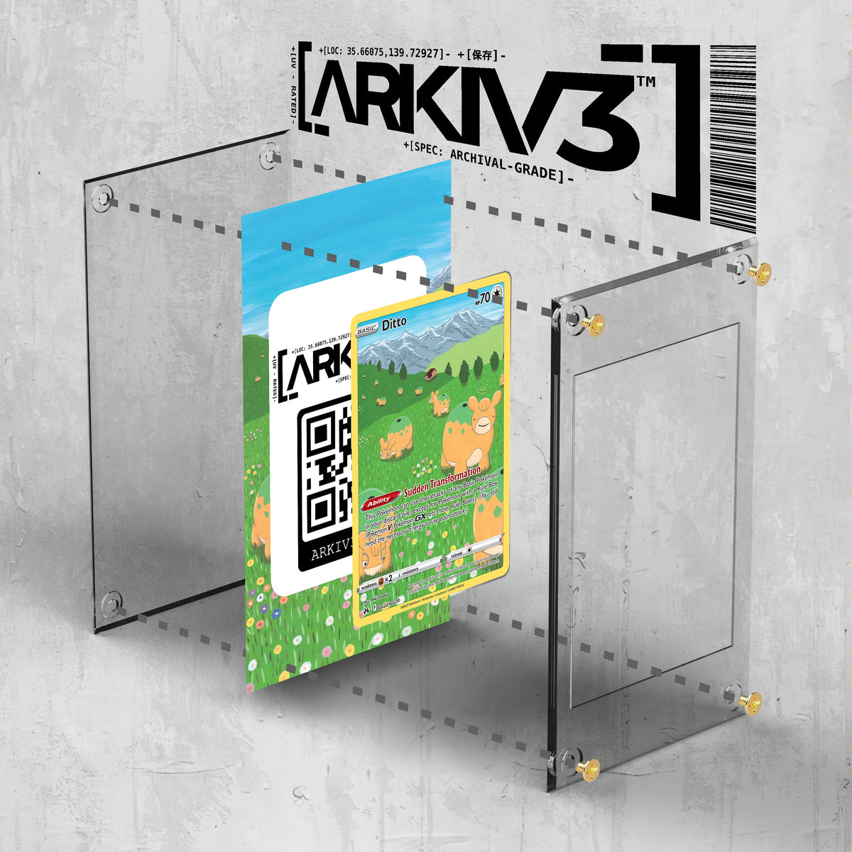 [UNIT: GG22/70] // Ditto Extended Art Display Case - Raw