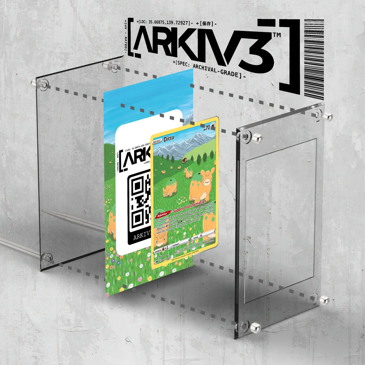 [UNIT: GG22/70] // Ditto Extended Art Display Case - Raw