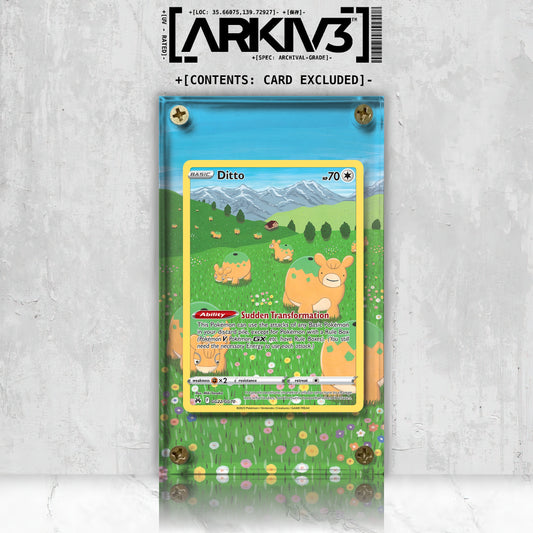 [UNIT: GG22/70] // Ditto Extended Art Display Case - Raw