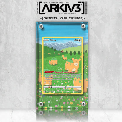 [UNIT: GG22/70] // Ditto Extended Art Display Case - Raw