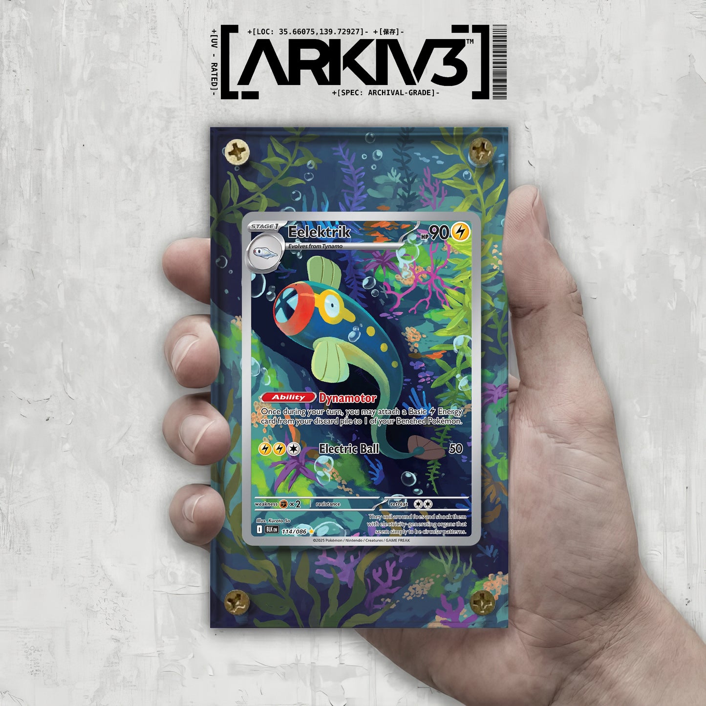 [UNIT: 114/86] // Eelektrik Extended Art Display Case - Raw