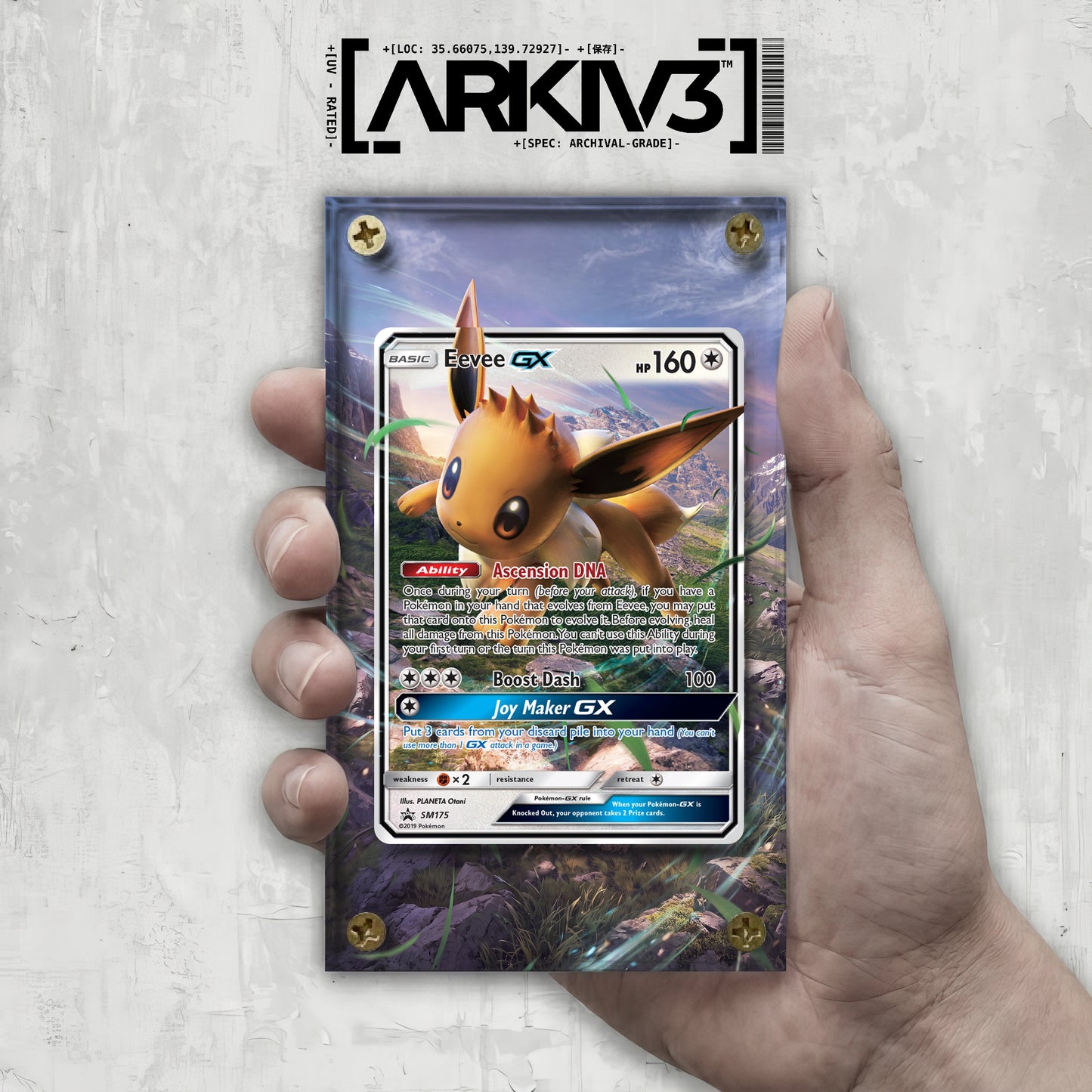 [UNIT: SM175/248] // Eevee-GX Extended Art Display Case - Raw