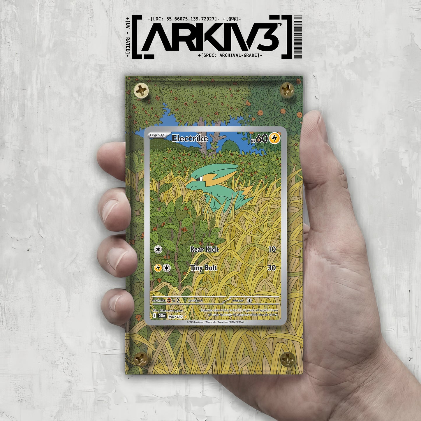 [UNIT: 196/182] // Electrike Extended Art Display Case - Raw