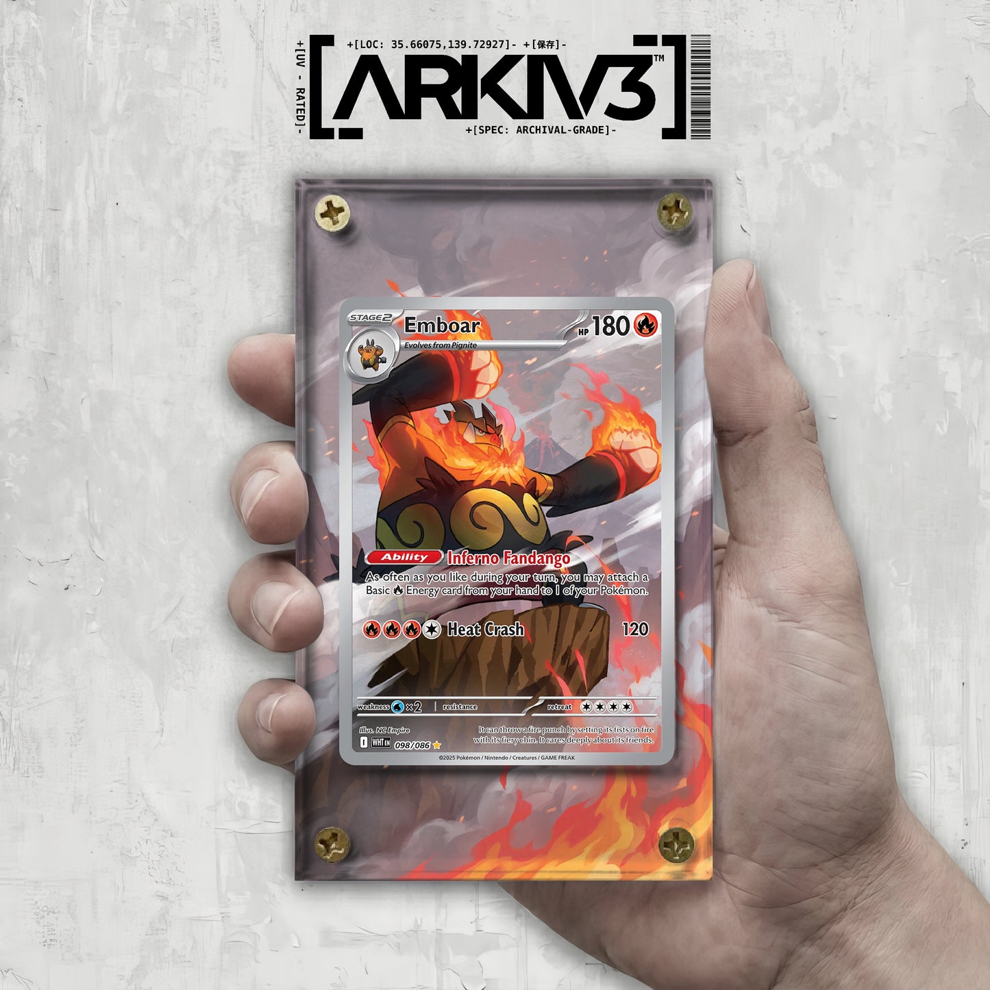[UNIT: 98/86] // Emboar Extended Art Display Case - Raw