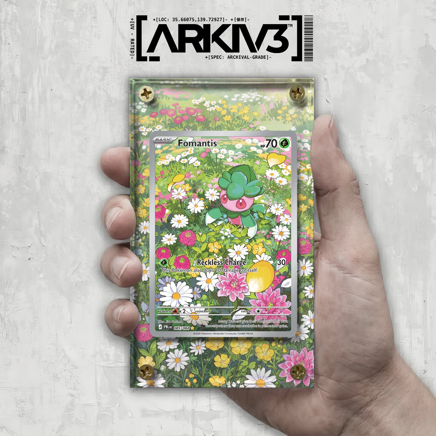 [UNIT: 85/84] // Fomantis Extended Art Display Case - Raw