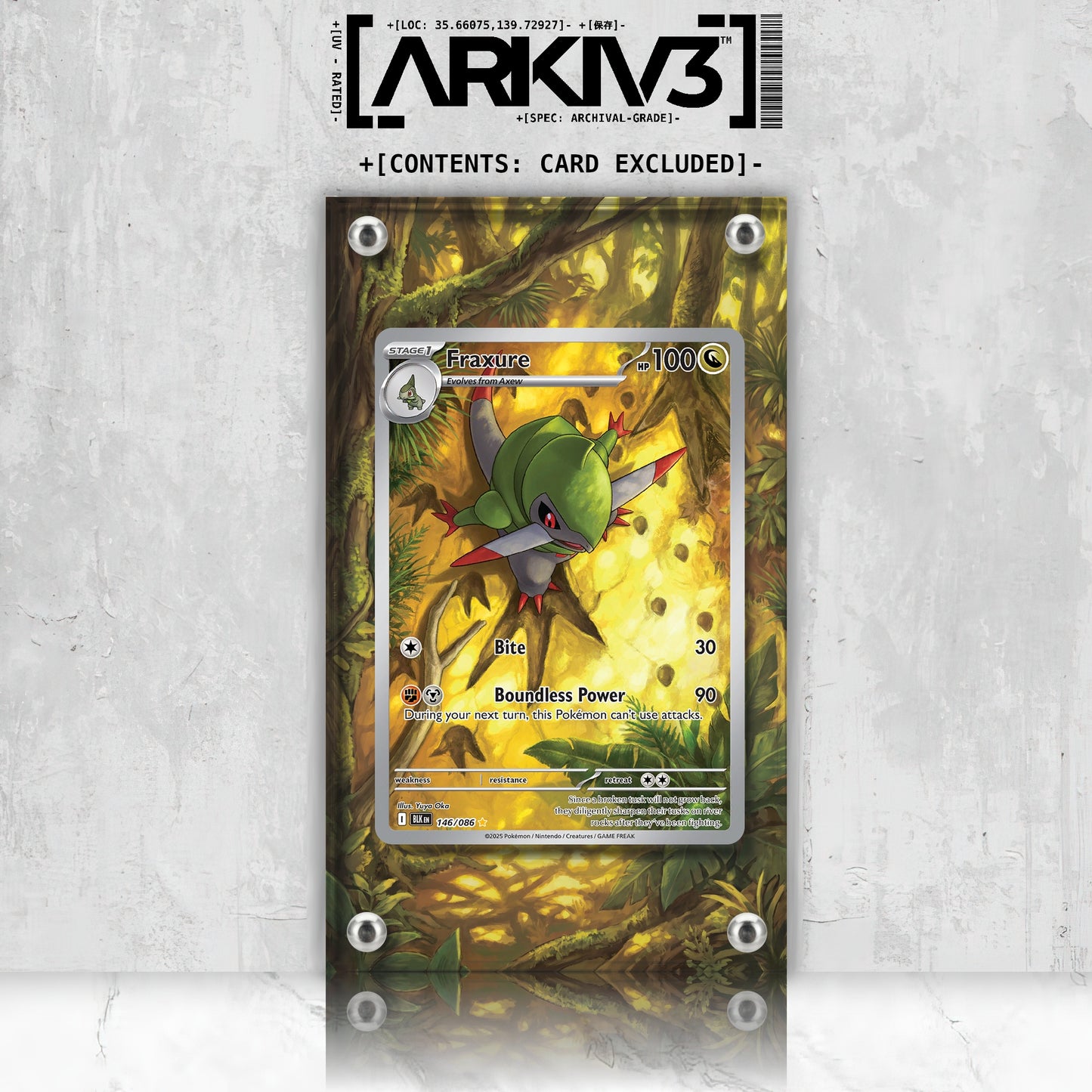 [UNIT: 146/86] // Fraxure Extended Art Display Case - Raw