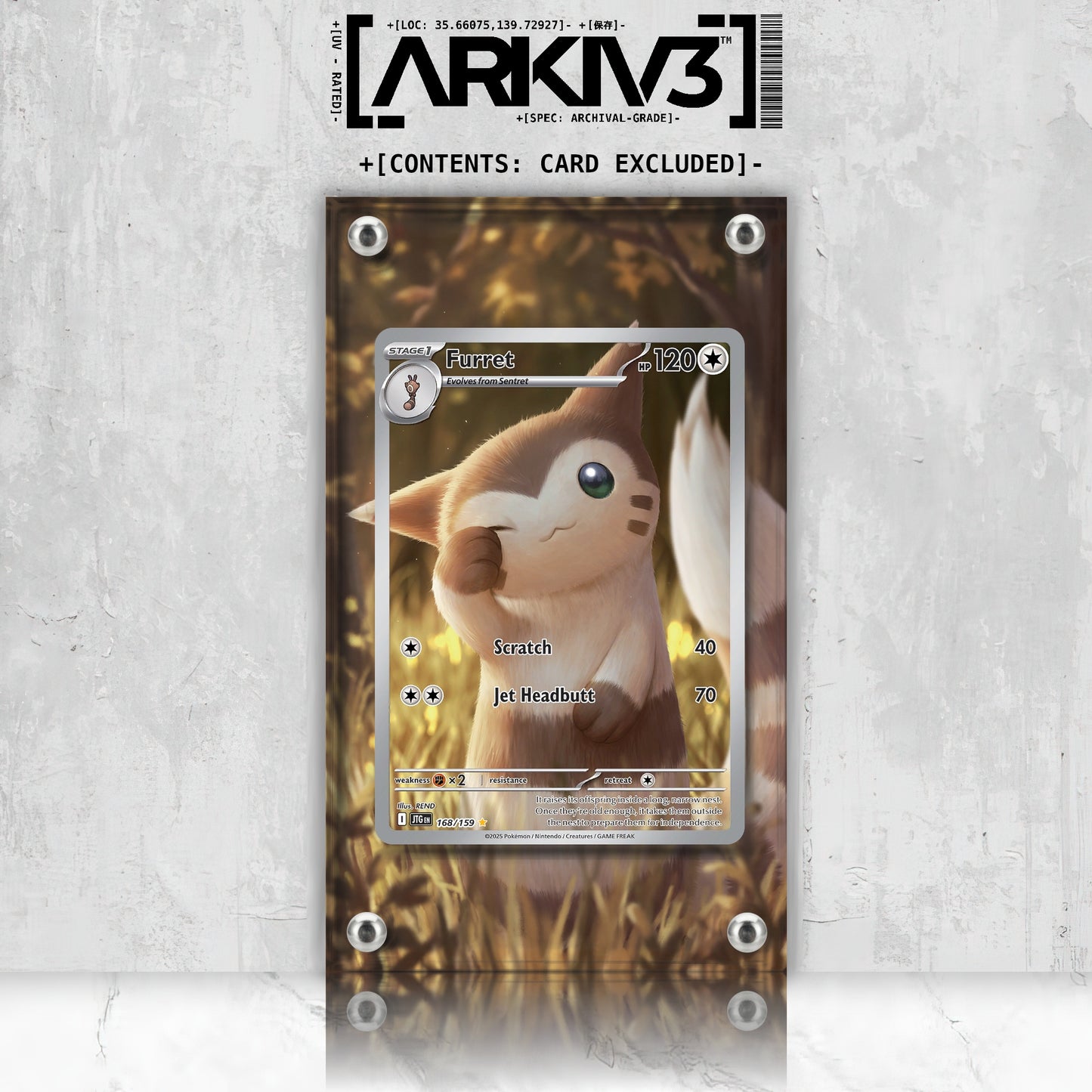[UNIT: 168/159] // Furret Extended Art Display Case - Raw
