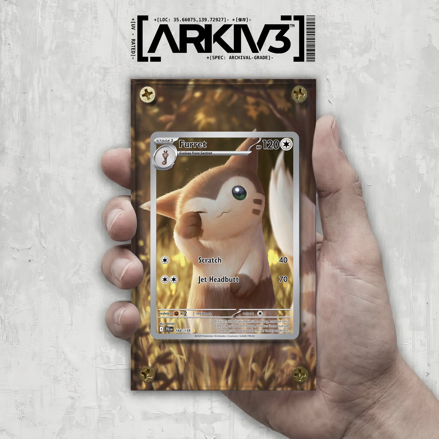 [UNIT: 168/159] // Furret Extended Art Display Case - Raw