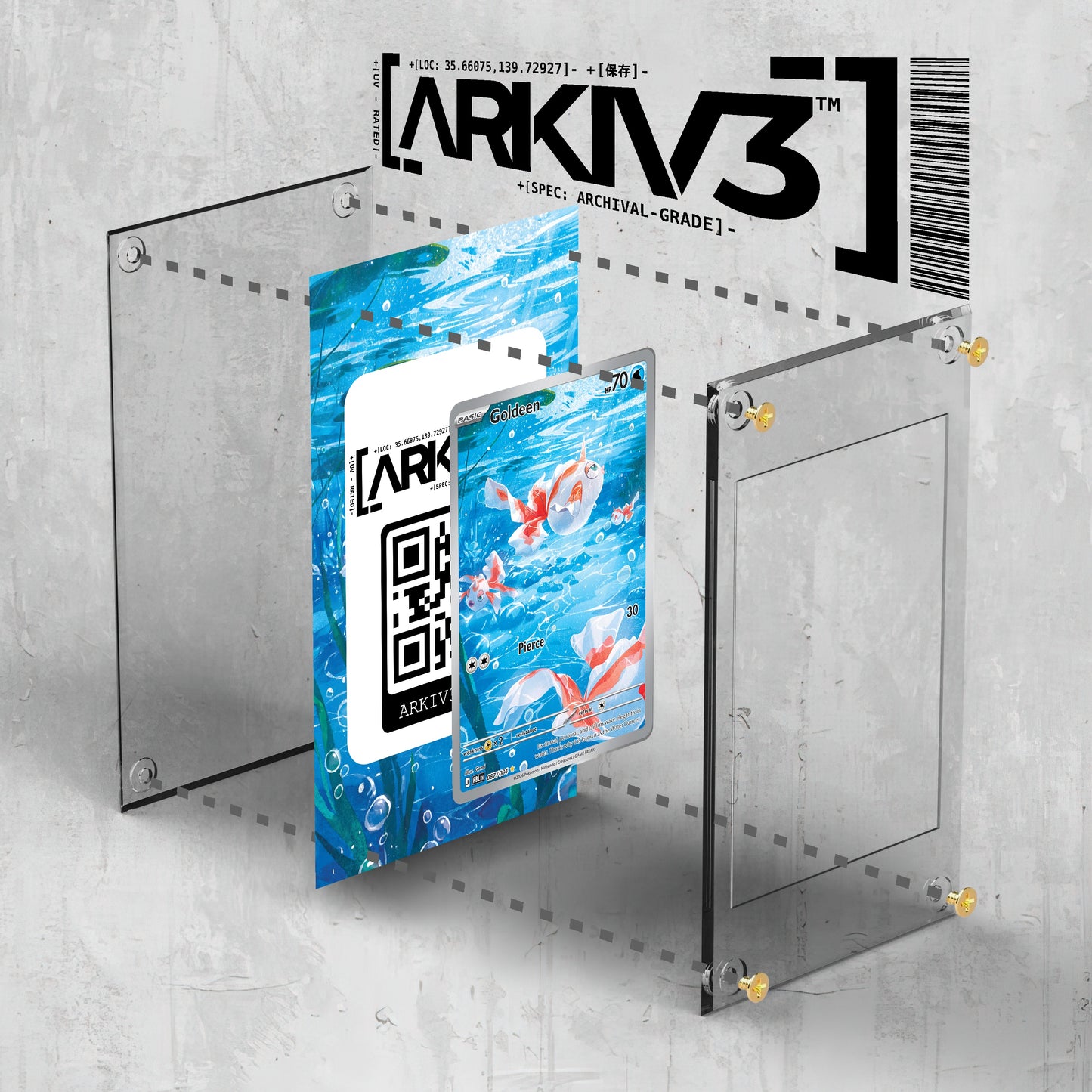 [UNIT: 87/84] // Goldeen Extended Art Display Case - Raw
