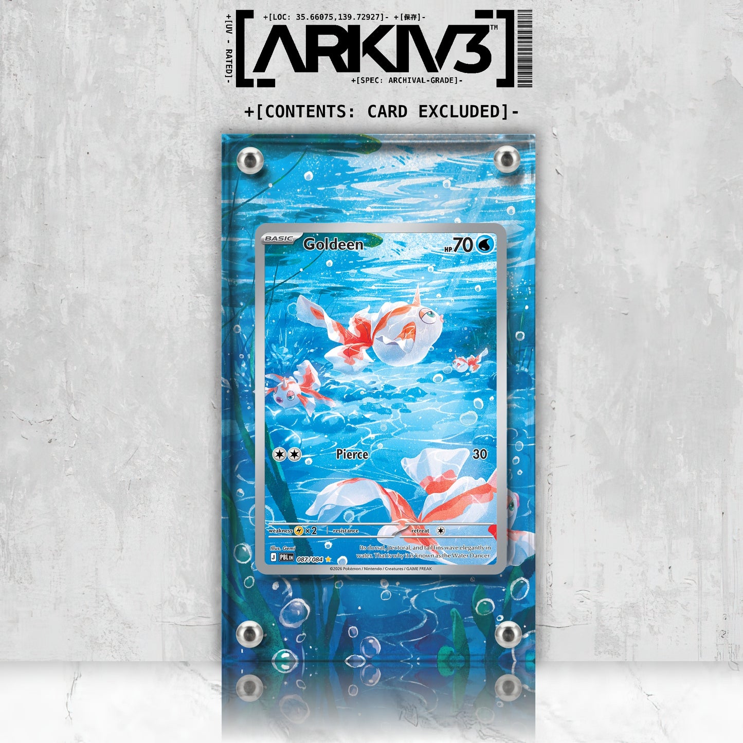 [UNIT: 87/84] // Goldeen Extended Art Display Case - Raw