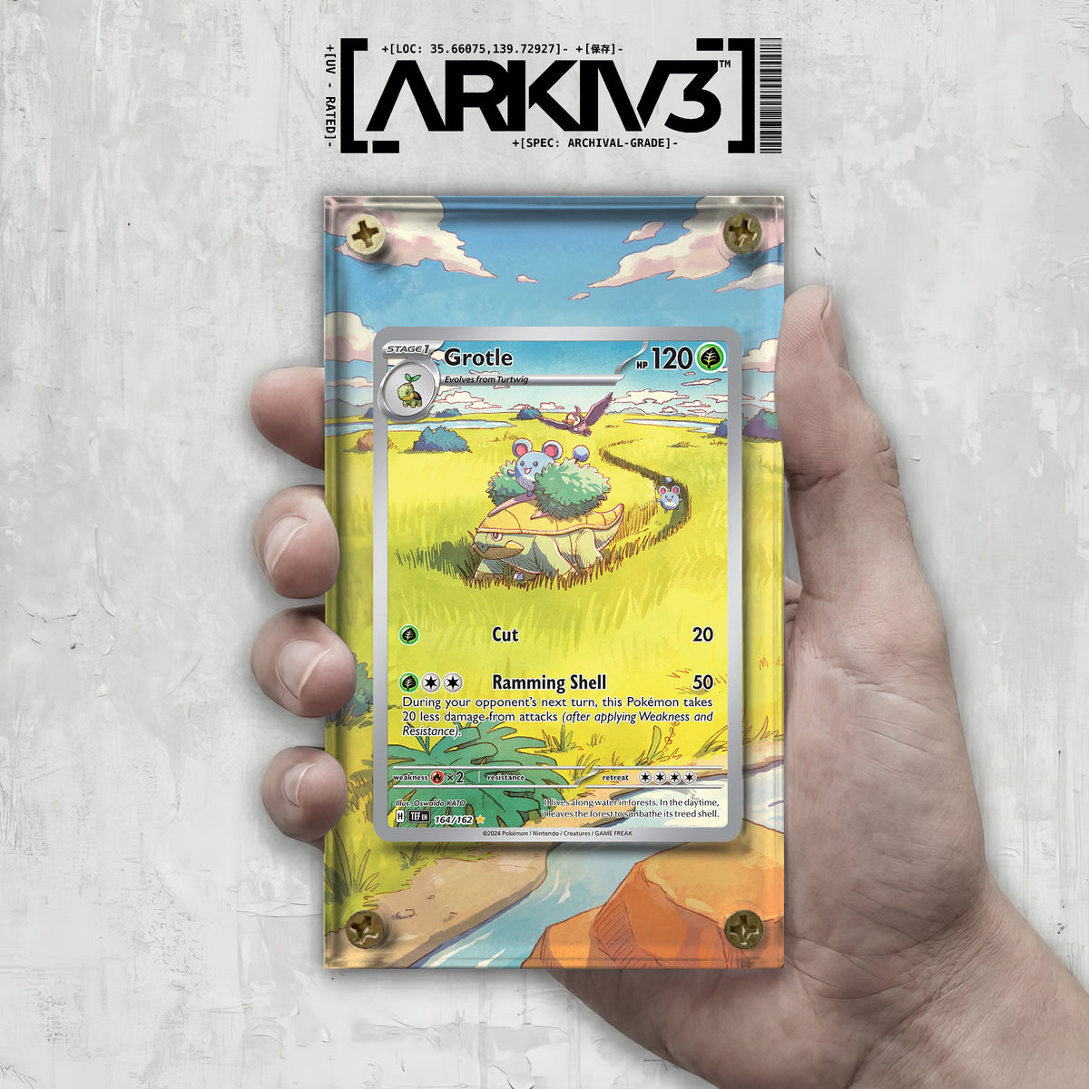[UNIT: 164/162] // Grotle Extended Art Display Case - Raw
