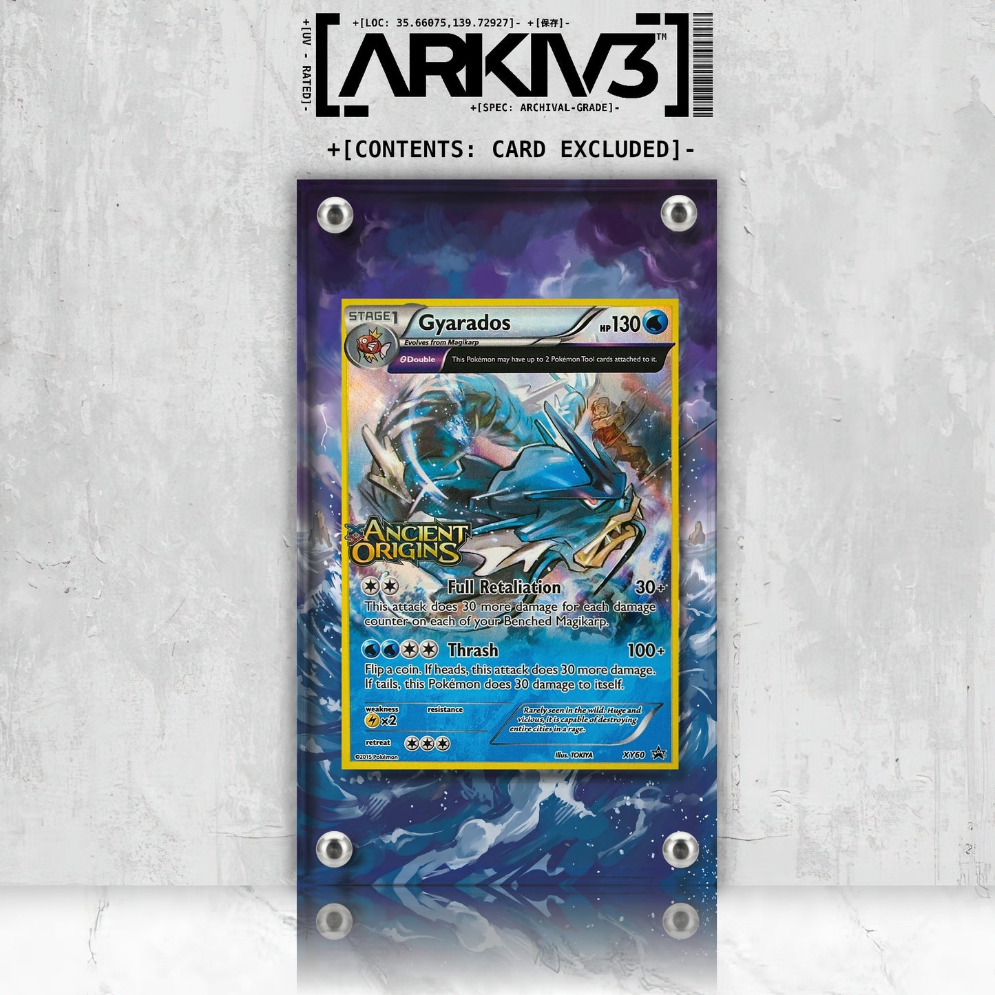[UNIT: XY60/211] // Gyarados Extended Art Display Case - Raw