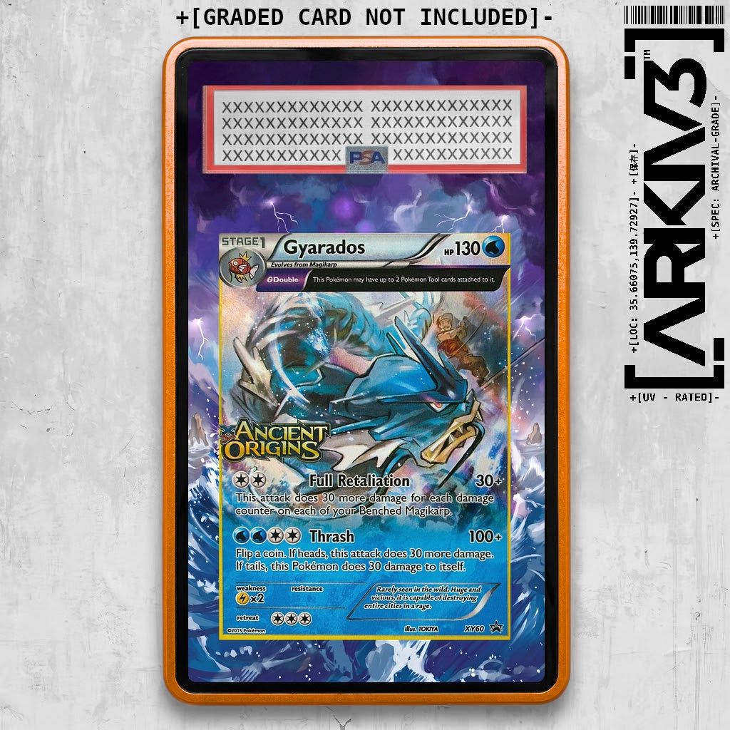 [UNIT: XY60/211] // Gyarados Extended Art Display Case - Graded