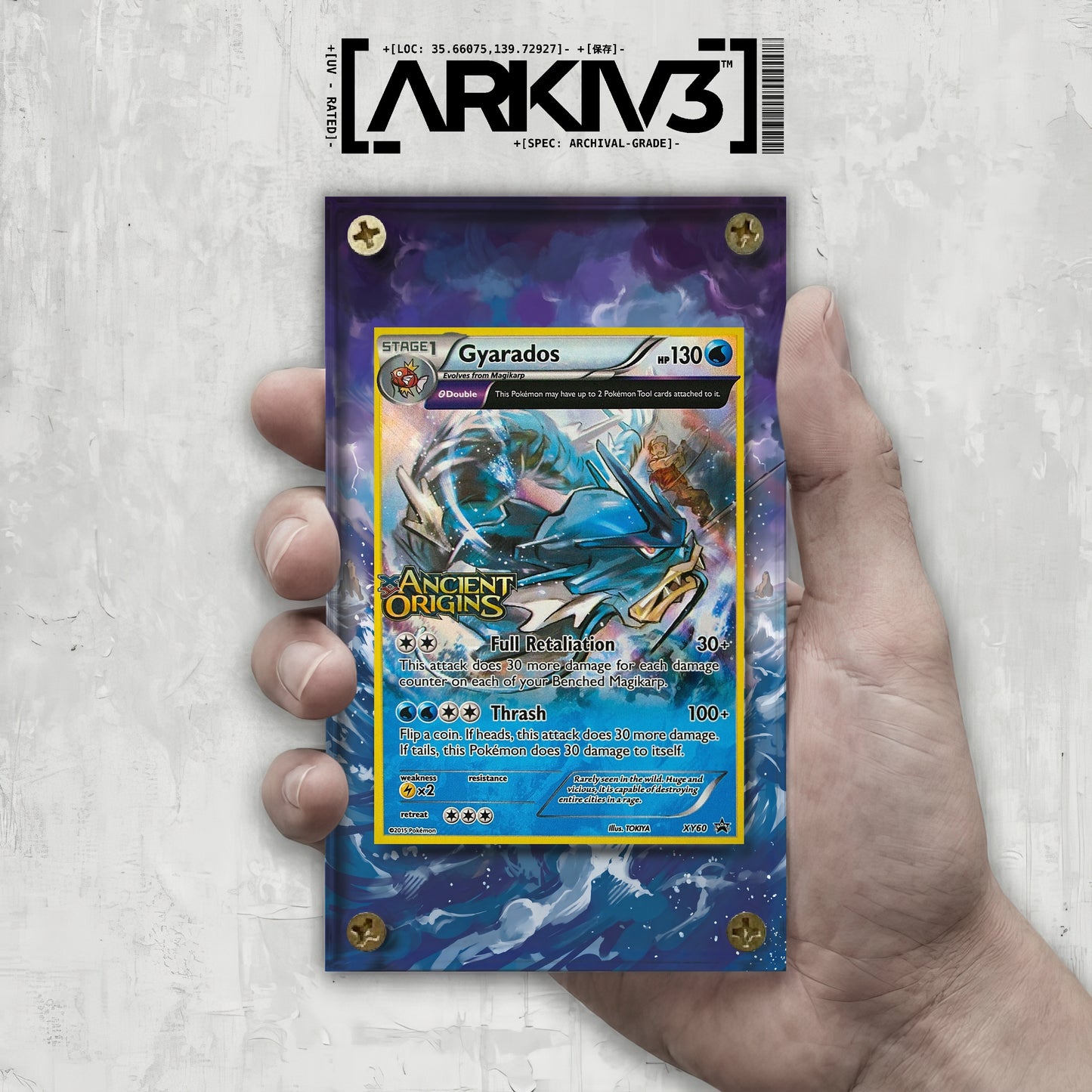 [UNIT: XY60/211] // Gyarados Extended Art Display Case - Raw