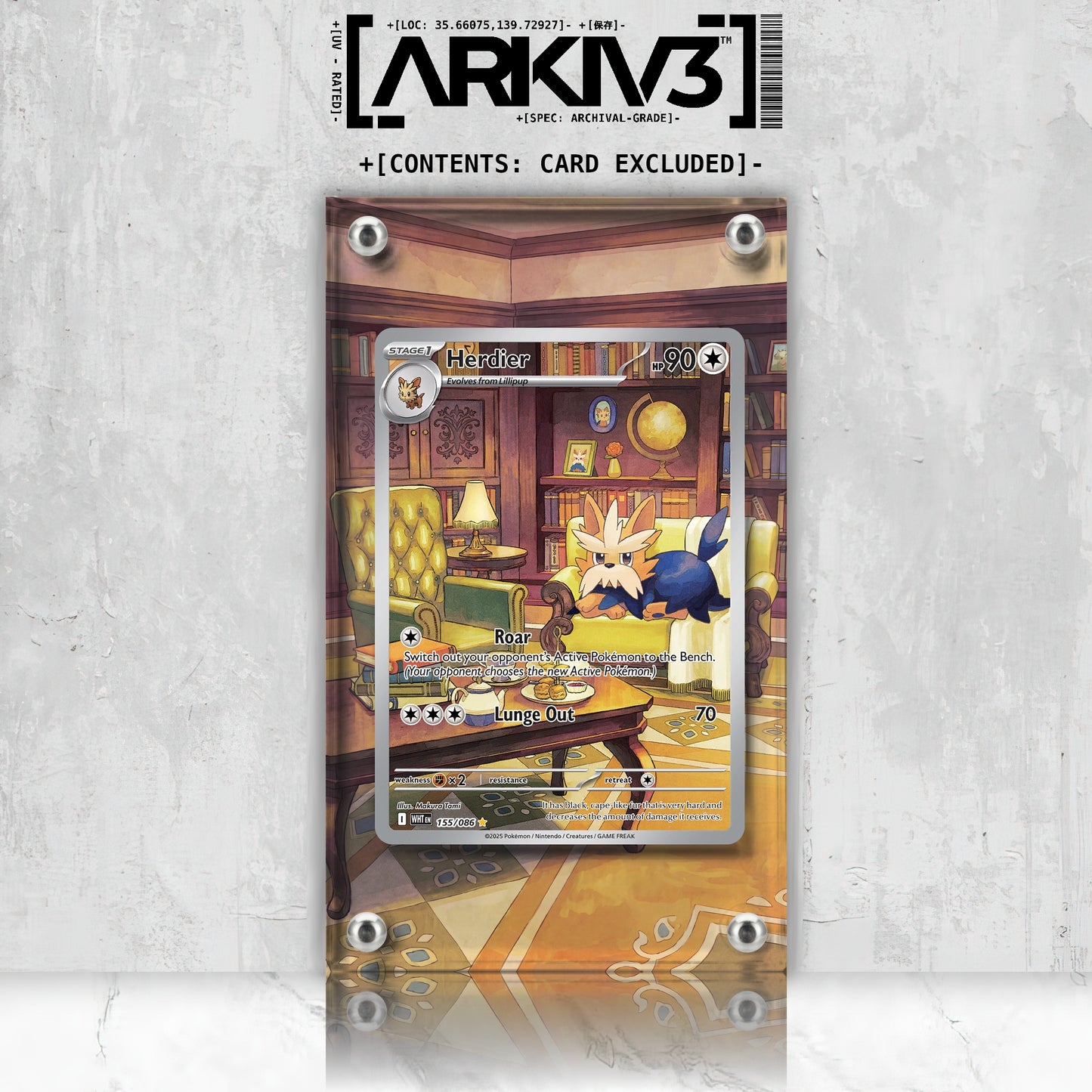[UNIT: 155/86] // Herdier Extended Art Display Case - Raw