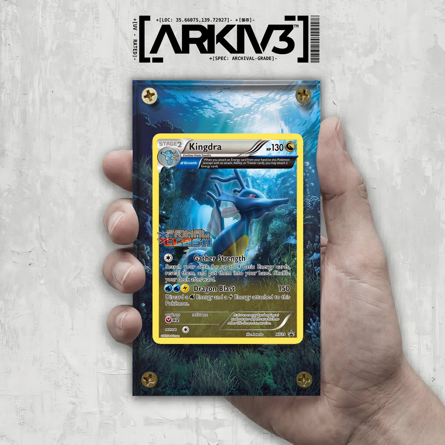 [UNIT: XY39] // Kingdra Extended Art Display Case - Raw