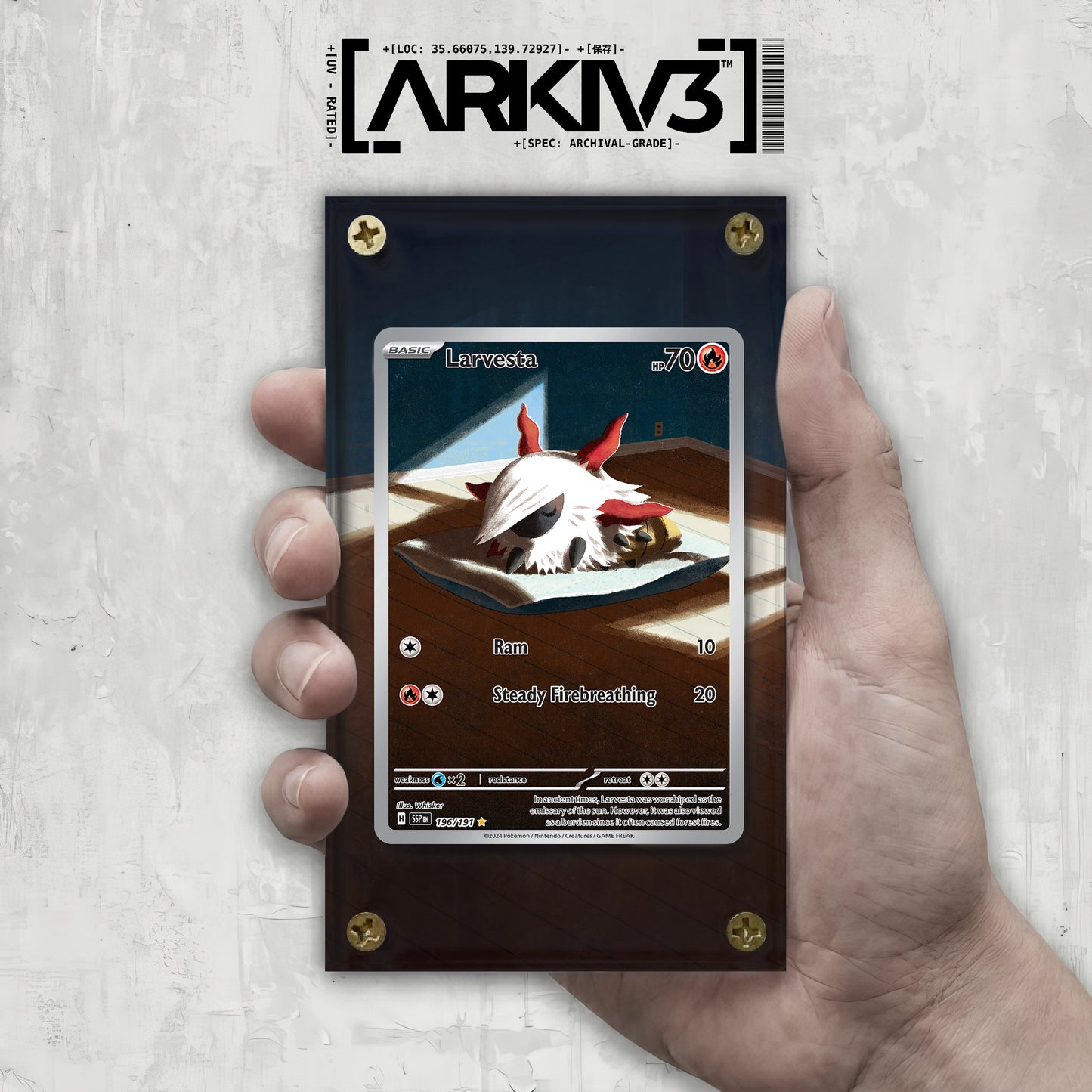 [UNIT: 196/191] // Larvesta Extended Art Display Case - Raw
