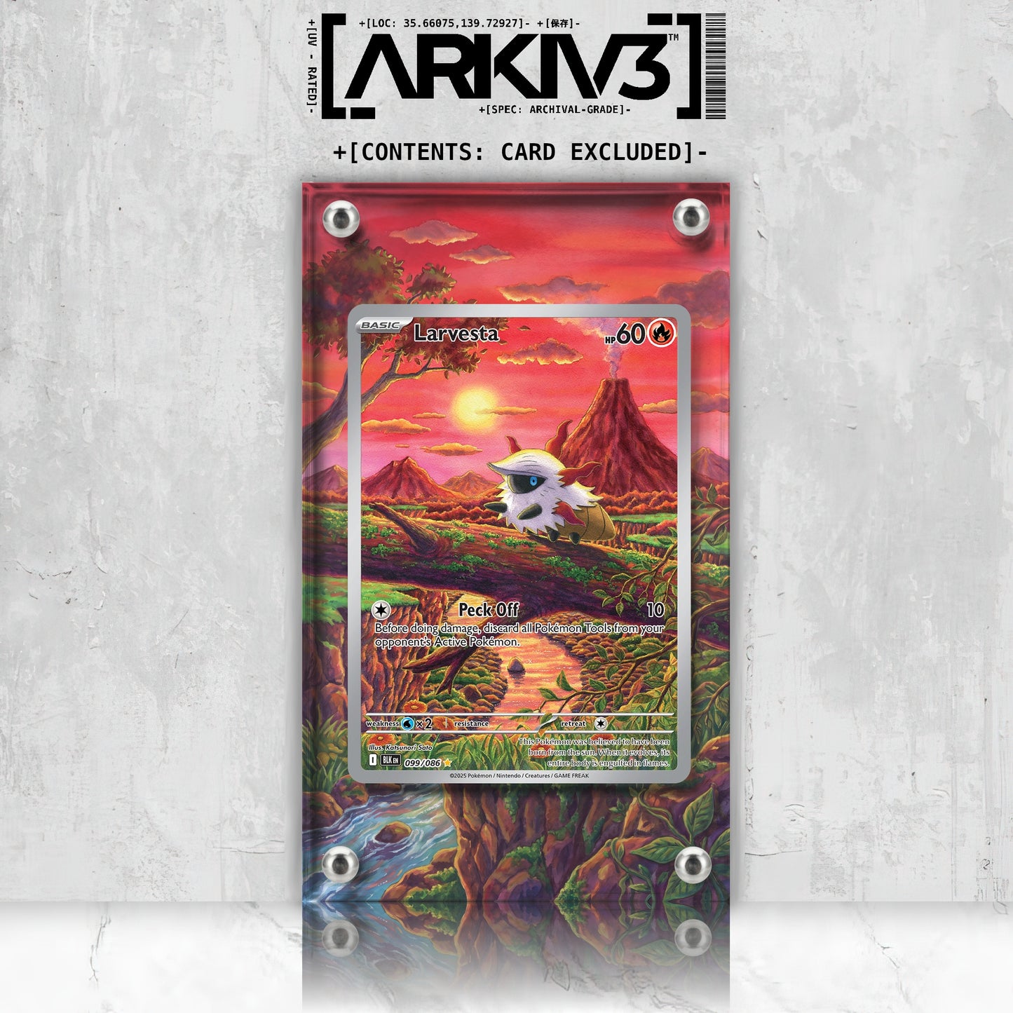 [UNIT: 99/86] // Larvesta Extended Art Display Case - Raw