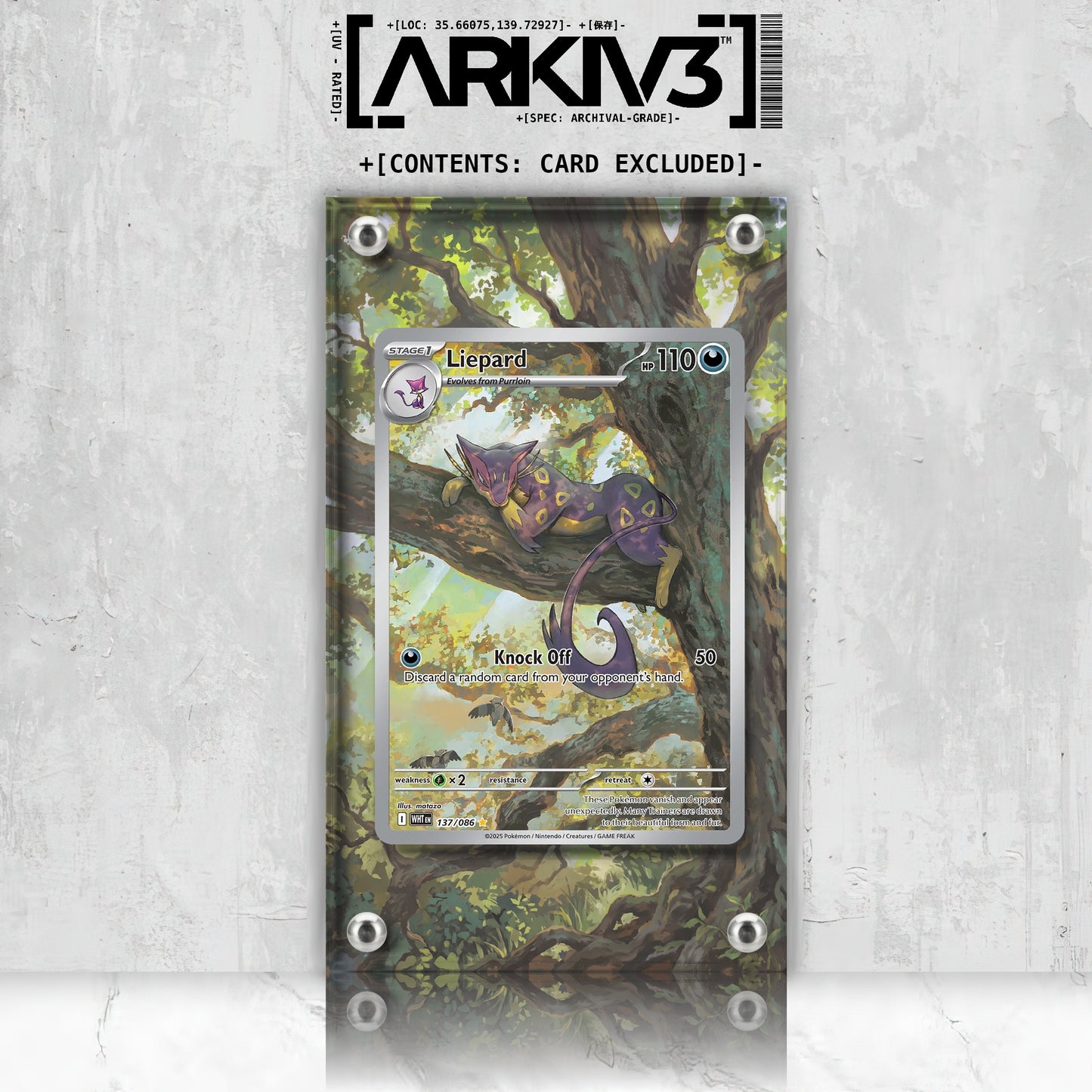 [UNIT: 137/86] // Liepard Extended Art Display Case - Raw