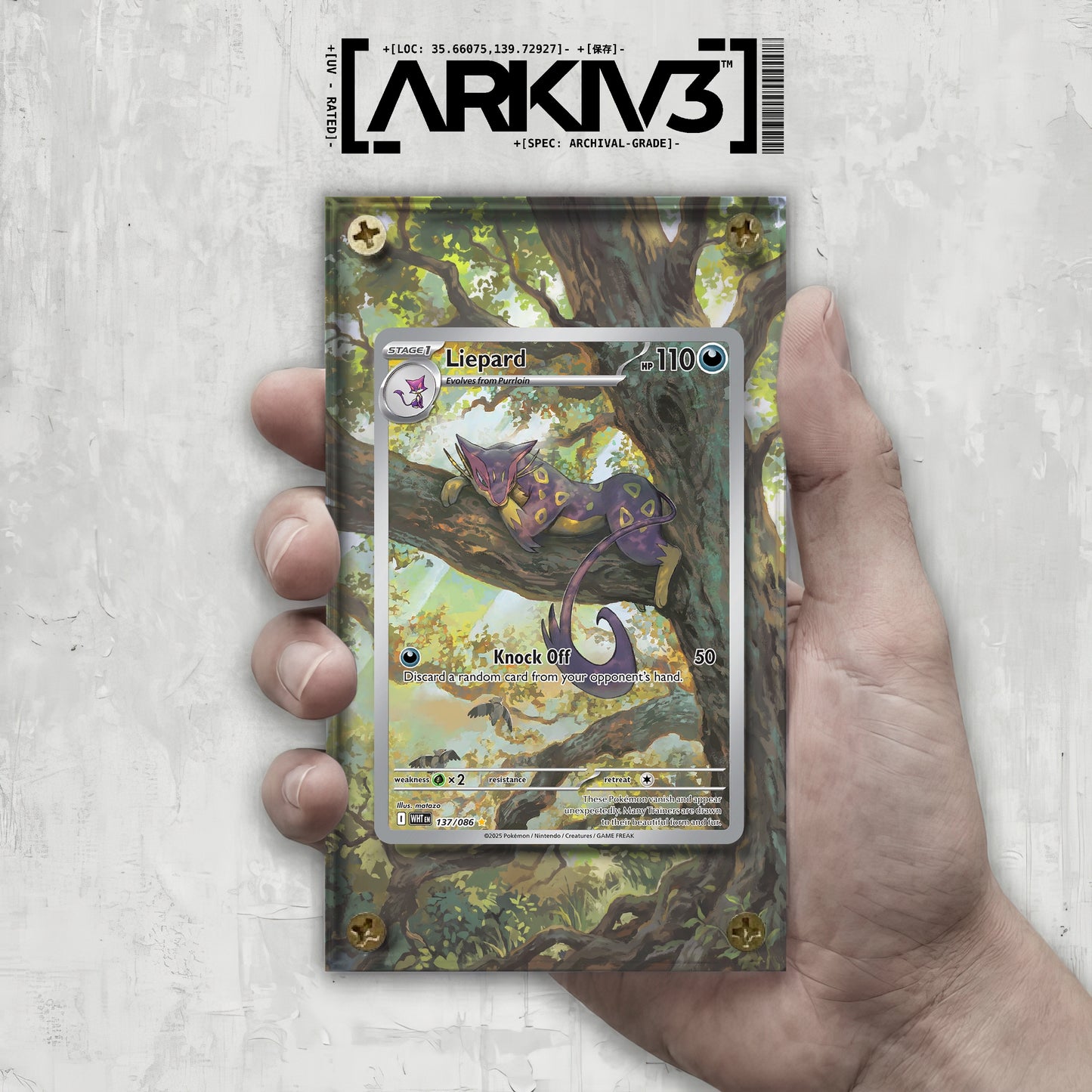 [UNIT: 137/86] // Liepard Extended Art Display Case - Raw