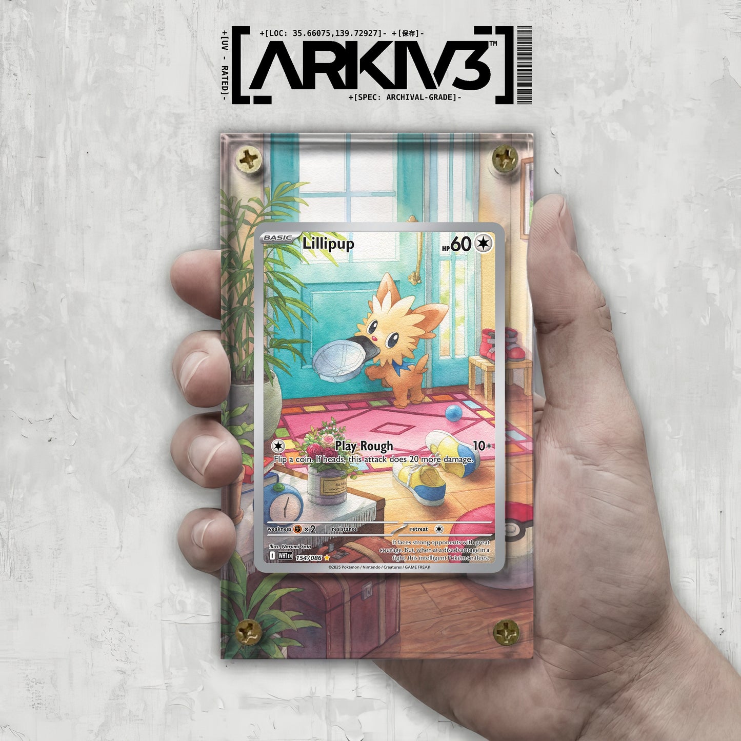 [UNIT: 154/86] // Lillipup Extended Art Display Case - Raw