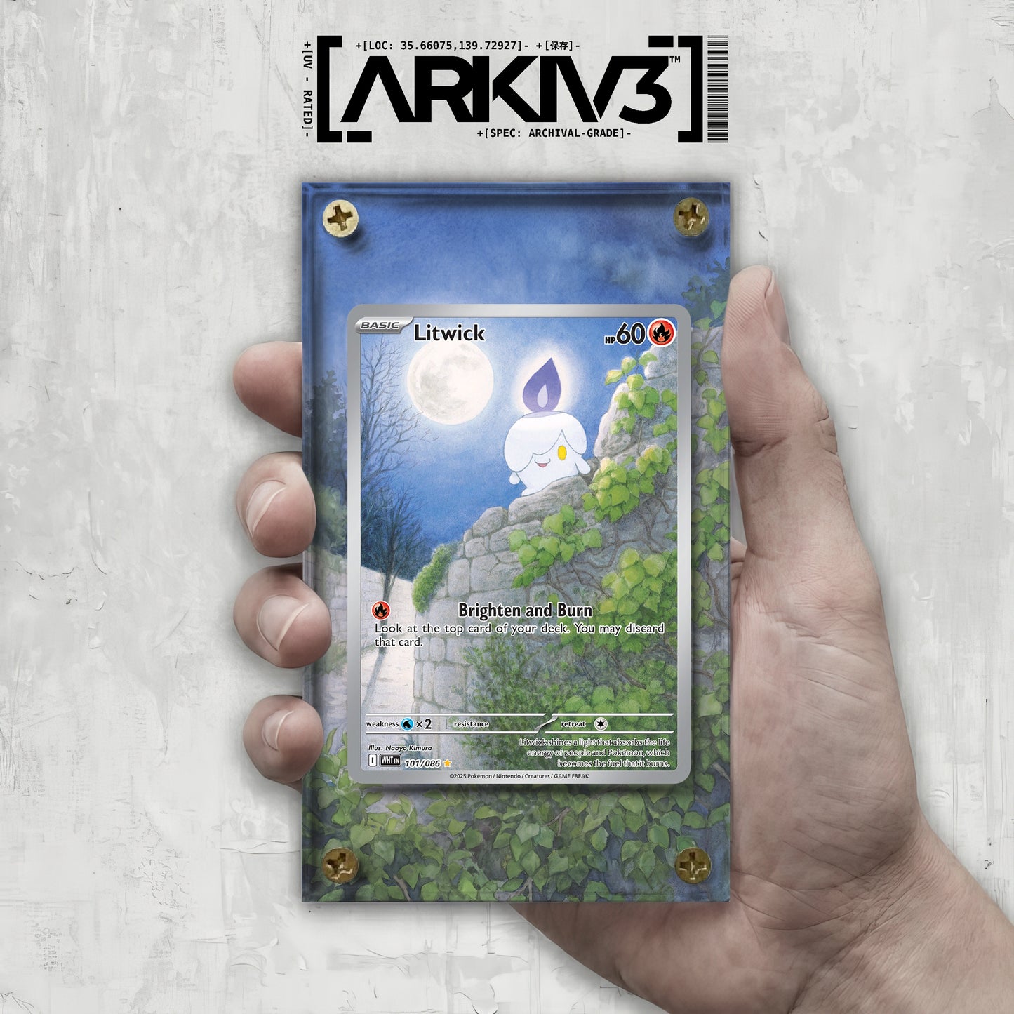 [UNIT: 101/86] // Litwick Extended Art Display Case - Raw