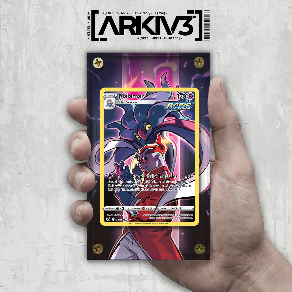 [UNIT: TG06/TG30] // Malamar Extended Art Display Case - Raw