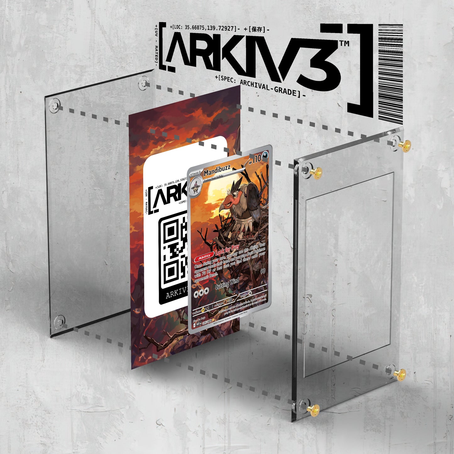 [UNIT: 145/86] // Mandibuzz Extended Art Display Case - Raw