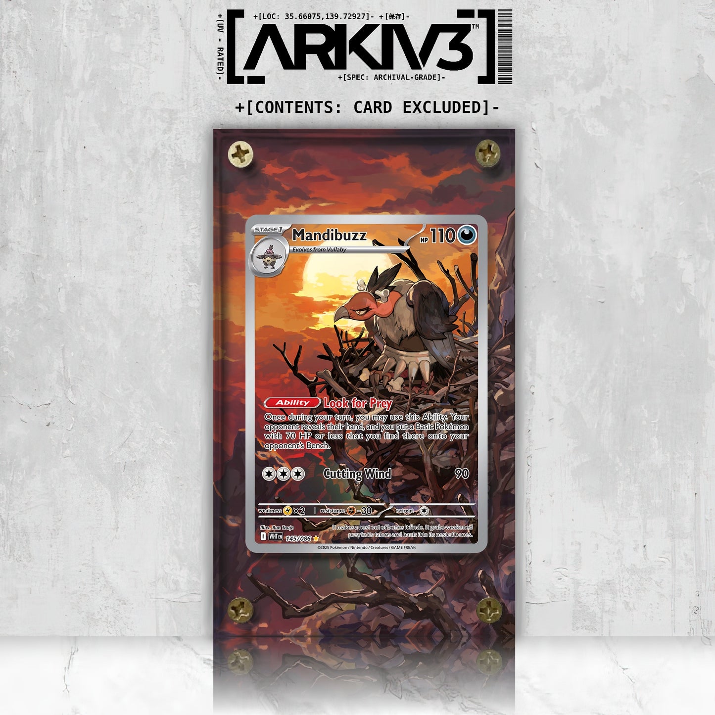[UNIT: 145/86] // Mandibuzz Extended Art Display Case - Raw
