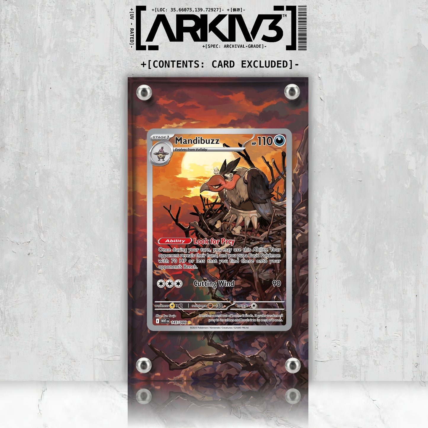 [UNIT: 145/86] // Mandibuzz Extended Art Display Case - Raw