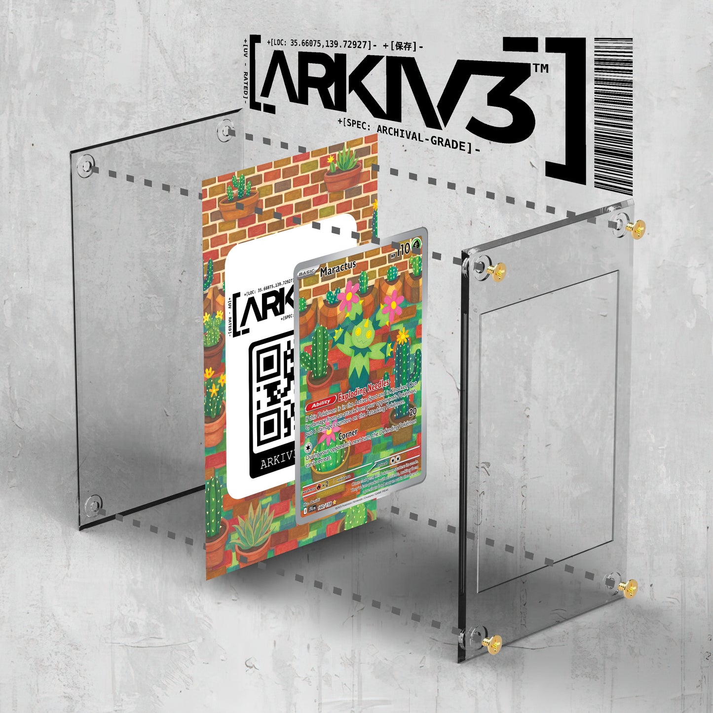 [UNIT: 160/159] // Maractus Extended Art Display Case - Raw